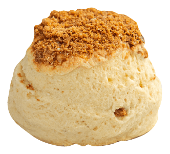 Biscoff Scone